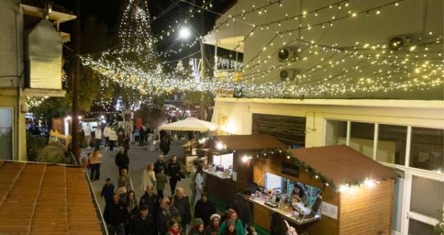 Ανακοίνωση αρ. 138/2025 - Φωταγώγηση Χριστουγεννιάτικου Δέντρου στο Χριστουγεννιάτικο Χωρίο στην Κυπερούντα